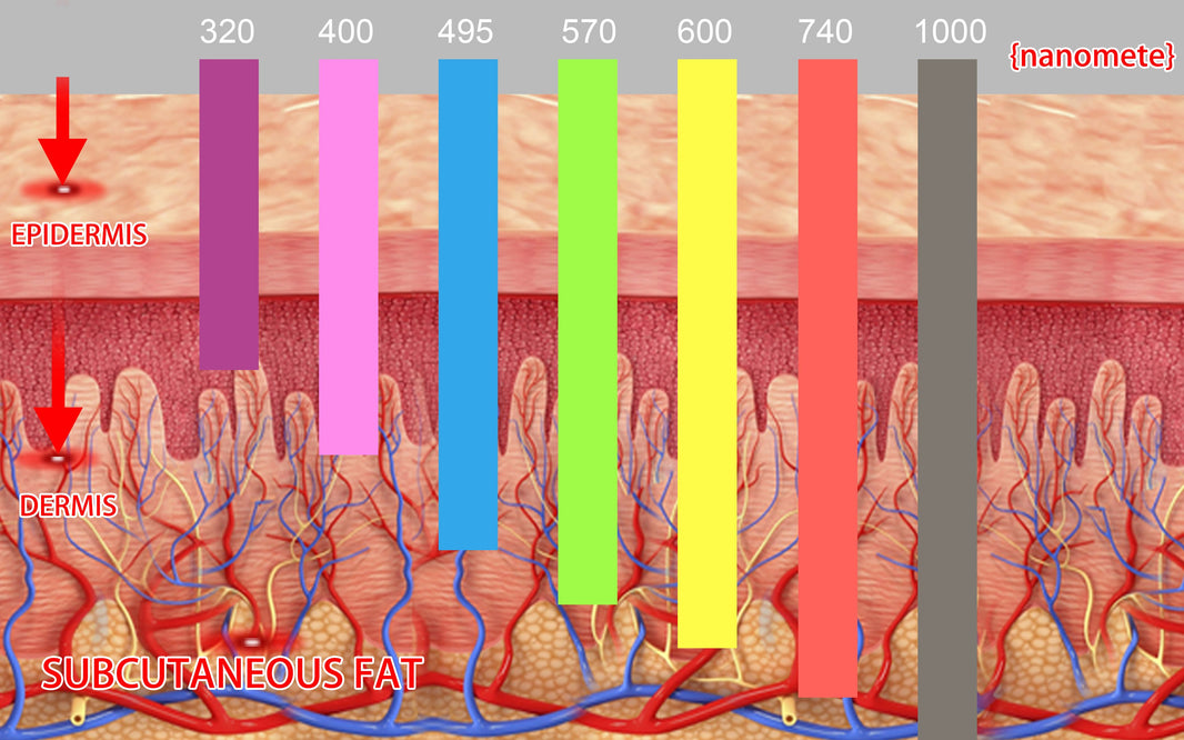 Understanding the Different Wavelengths of Light Therapy and Their Uses